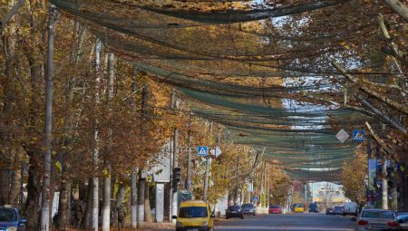 Ukrayna kenti nasıl “insan safarisine” dönüştü?